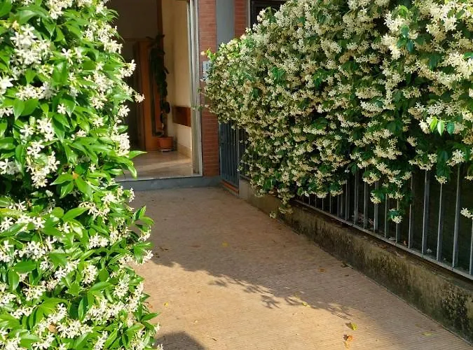 Apartmán Flowerence
