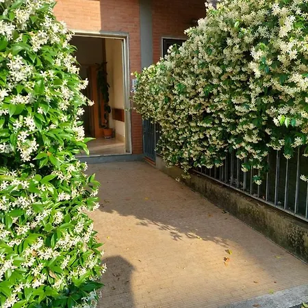 דירה Flowerence